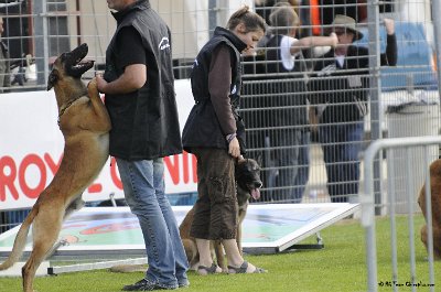 Remise des Prix 022.JPG - CHIENPLUS.COM
